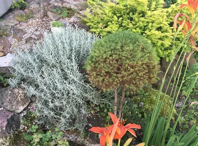 Park Apartamento Hévíz